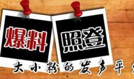 重庆最新爆料事件新闻,神秘事件引发社会关注