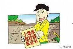 农村纠纷爆料案例最新版,邻里矛盾升级，法律维权之路探析