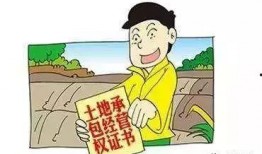 农村纠纷爆料案例最新版,邻里矛盾升级，法律维权之路探析