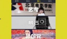 最新情况爆料视频下载,下载背后的真相与争议