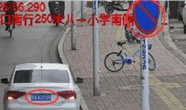 石家庄最新交警爆料,交通整治行动成效显著，多起违法行为被查处