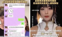 小慧视频爆料最新网站在线观看,最新网站在线观看大揭秘