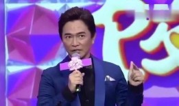 男星最新爆料视频,最新爆料视频背后的惊人真相