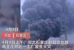 定州最新事件爆料视频曝光,视频爆料揭示惊人真相
