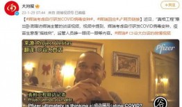 新冠病毒起源爆料视频最新,最新爆料视频深度解析