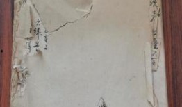 温州探店爆料事件视频最新,最新视频揭露事件真相与争议