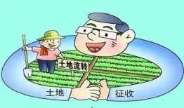 农村纠纷爆料案例最新版,邻里矛盾升级，法律维权之路探析