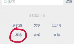 今日最新爆料小程序,小程序背后的秘密与趋势