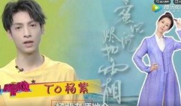 杨紫外卖最新爆料,揭秘明星日常饮食背后的故事