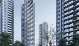 浏河房产最新优惠爆料,独家优惠爆料，抢购良机不容错过！